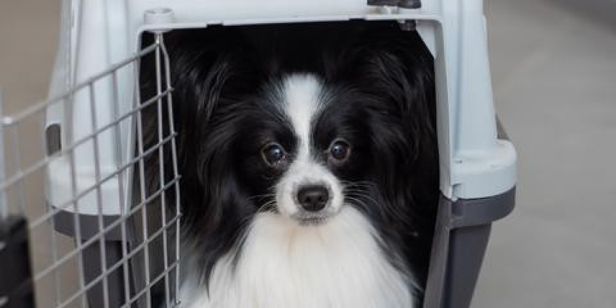 Enhance Your Ute's Utility with Premium Aluminium Dog Boxes from EzToolBox