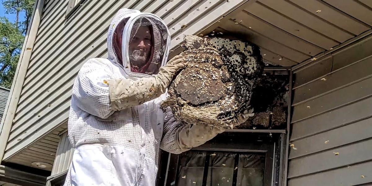 Managing Bee Activity Around Commercial Properties