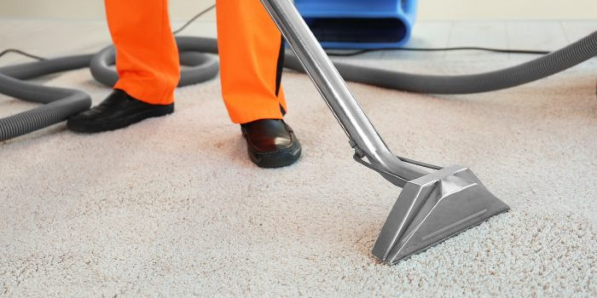 Carpet Cleaning Services Supporting Homes With Different Flooring Challenges